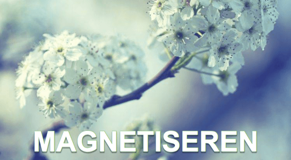 Magnetiseren Praktijk het alternatief Bovenkarspel